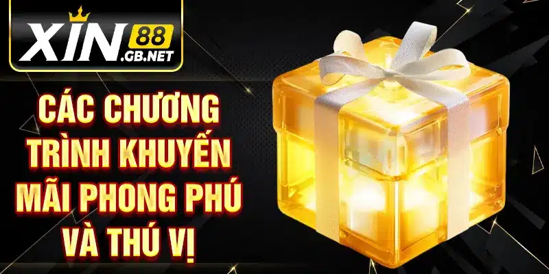 Các chương trình khuyến mãi phong phú và thú vị